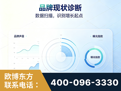 汾阳-品牌现状诊断