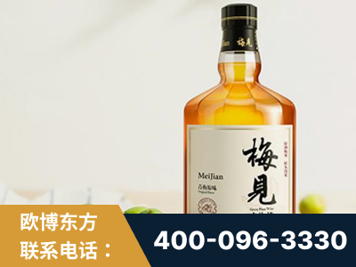 汾阳-梅见青梅酒